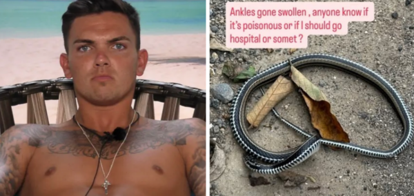 Sam Gowland