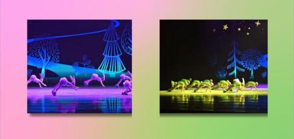 rabbit turtle dance video