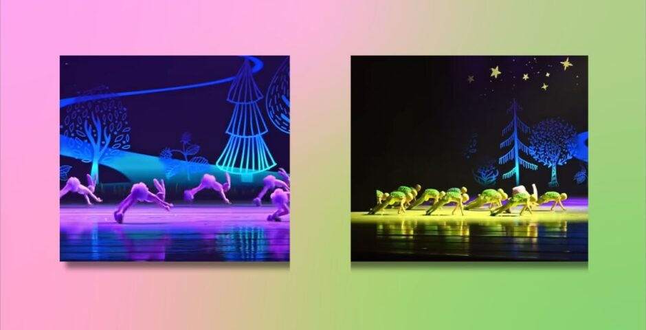 rabbit turtle dance video