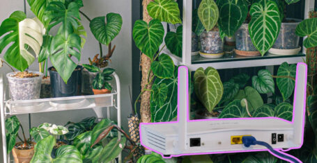 houseplants Wifi