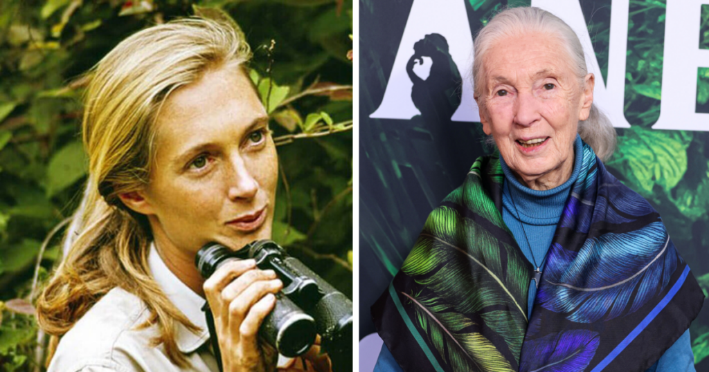 Jane Goodall