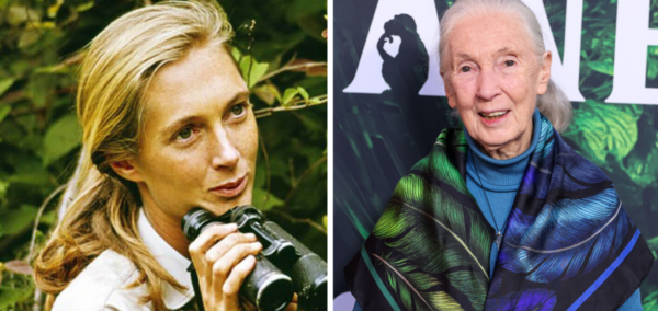 Jane Goodall