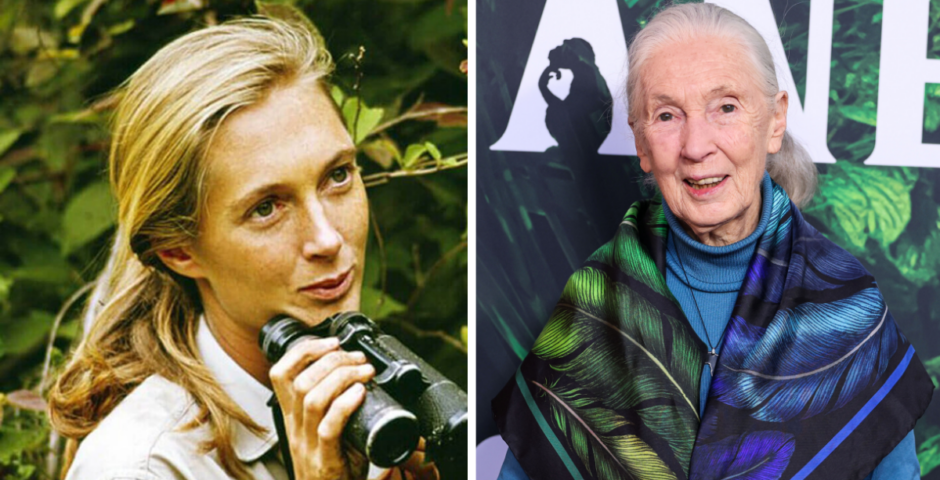 Jane Goodall