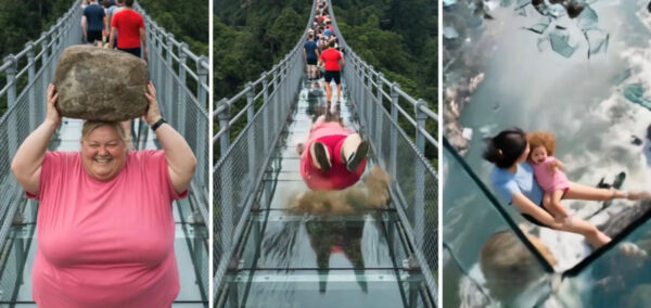 AI glass bridge collapse