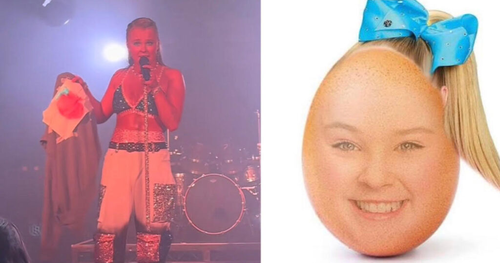 JoJo Siwa kicked fan concert