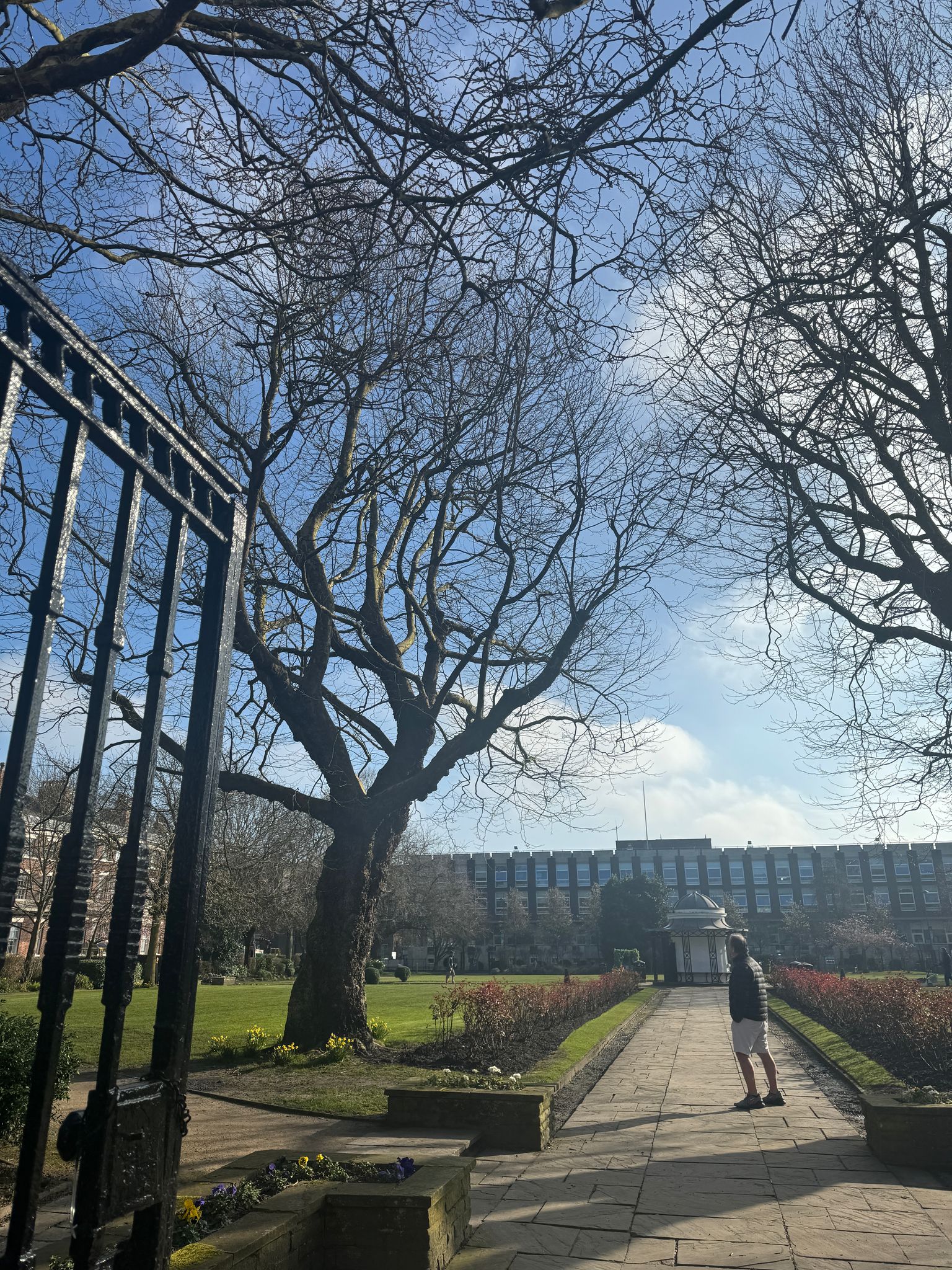 university of liverpool campus plus a student times higher education uni guide