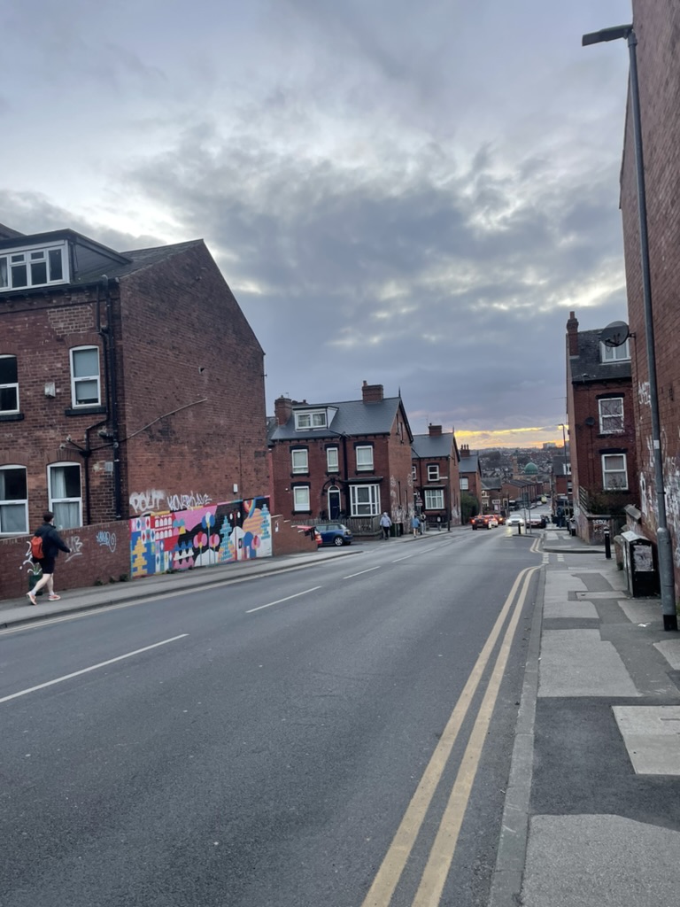 Streets in Hyde Park, the suburb where the sexual assaults in Leeds occurred