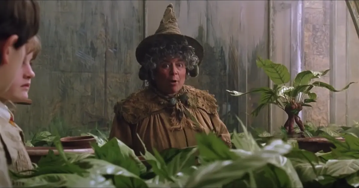 miriam margolyes who turned down the celebrity traitors in harry potter and the chaamber of secrets