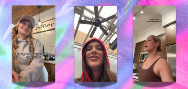 Bird theory trend TikTok