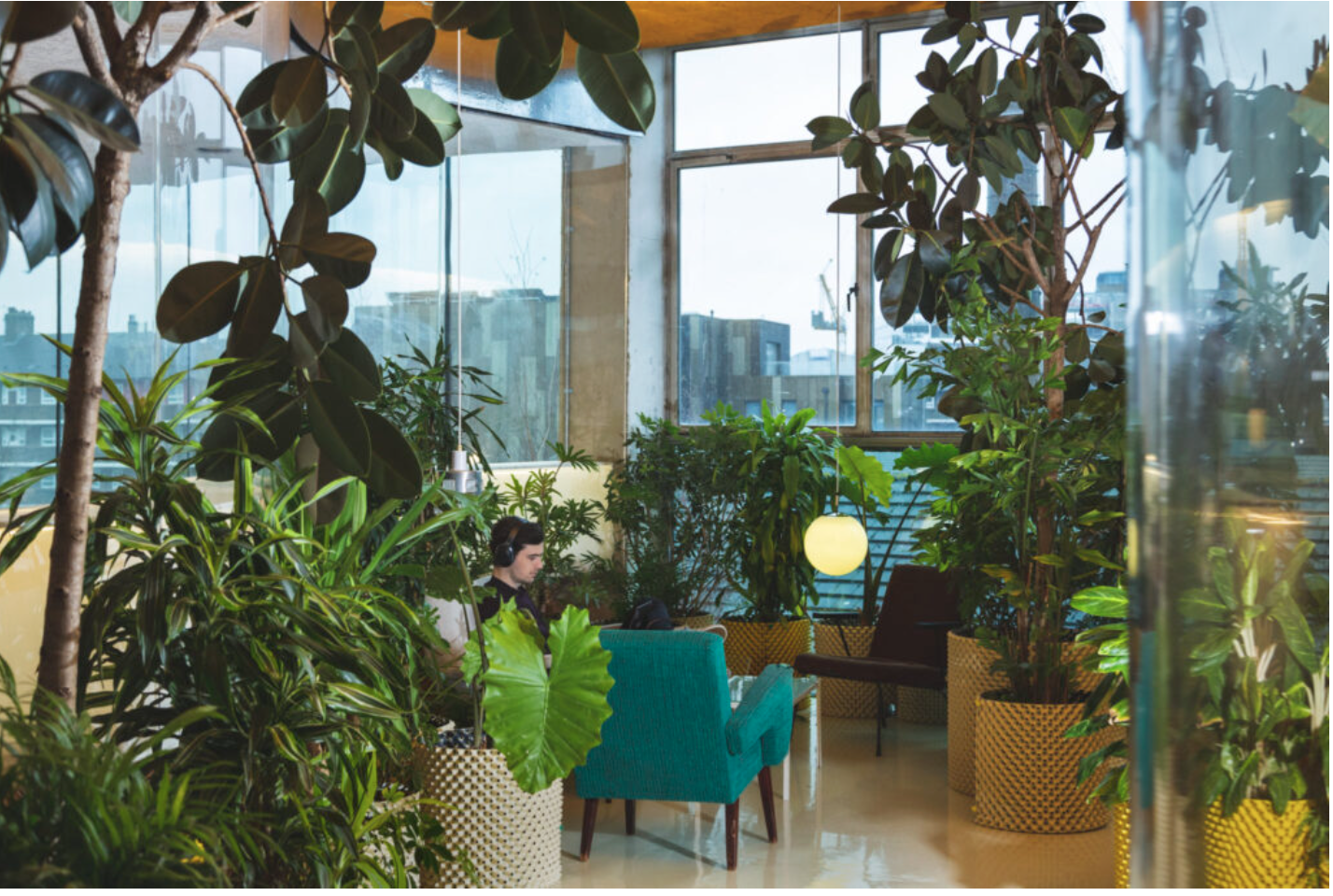 The Tab's plant-filled office 