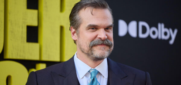David Harbour Stranger Things press tour