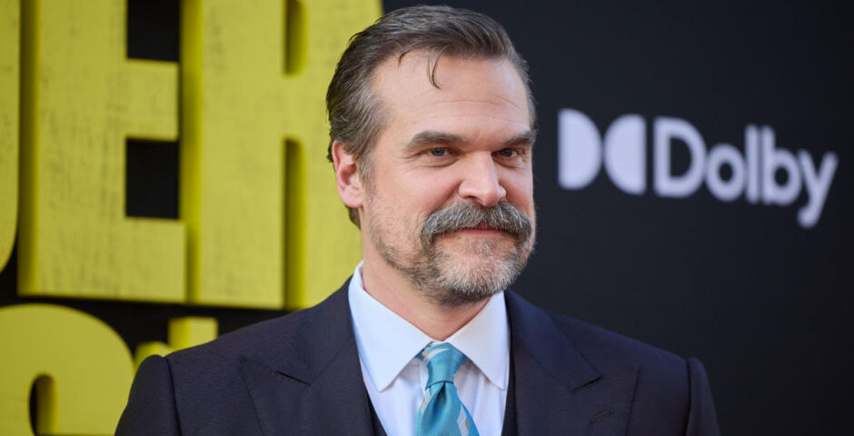 David Harbour Stranger Things press tour