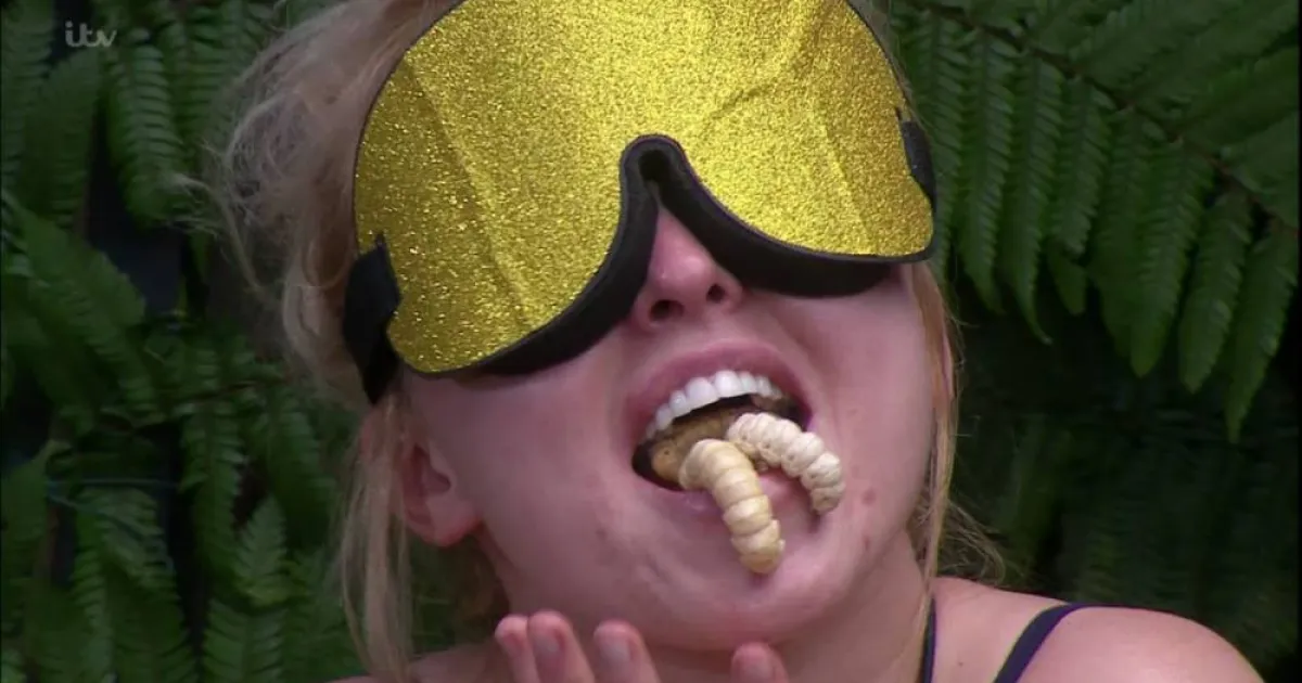 I'm A Celeb major changes