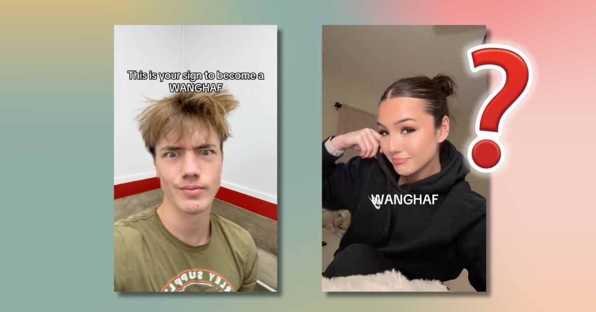 Fact-Checking WANGHAF: Real Internet Acronym or Deliberate TikTok Inside Joke?