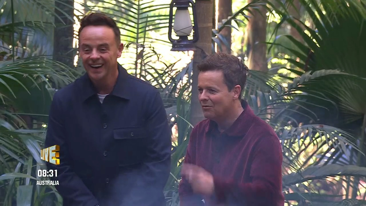 im a celeb ant and dec