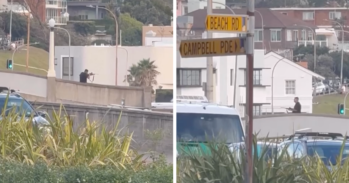 Bondi Beach attack shooters