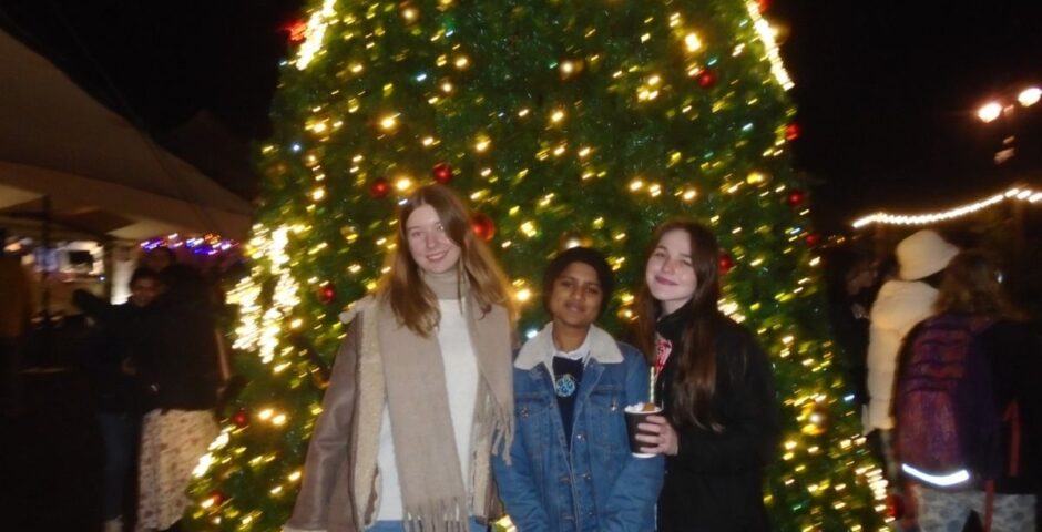 students christmas tree dark background