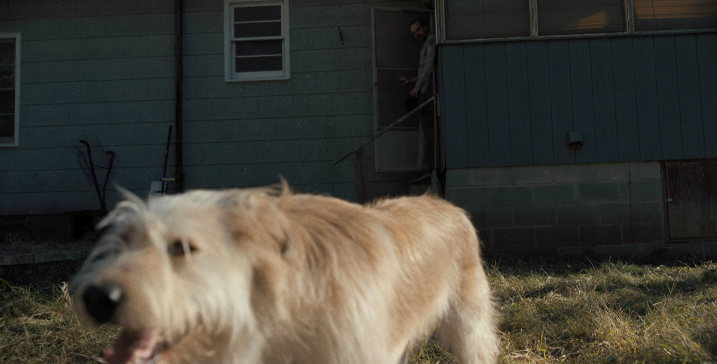 Stranger Things Byers dog