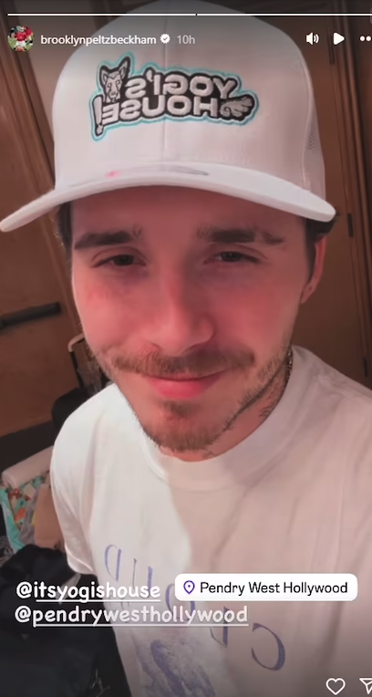 brooklyn beckham la dogs event