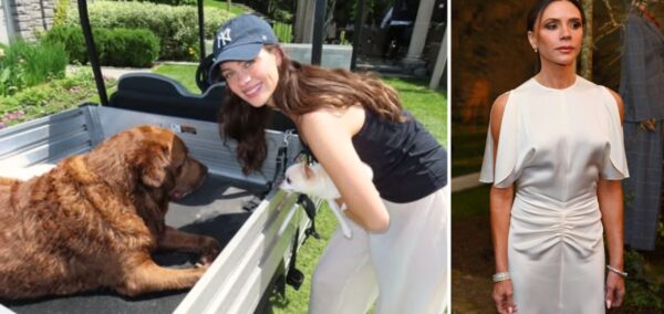 nicola peltz victoria beckham dogs