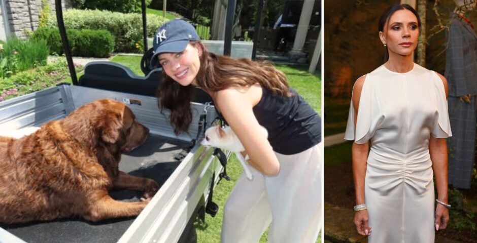 nicola peltz victoria beckham dogs