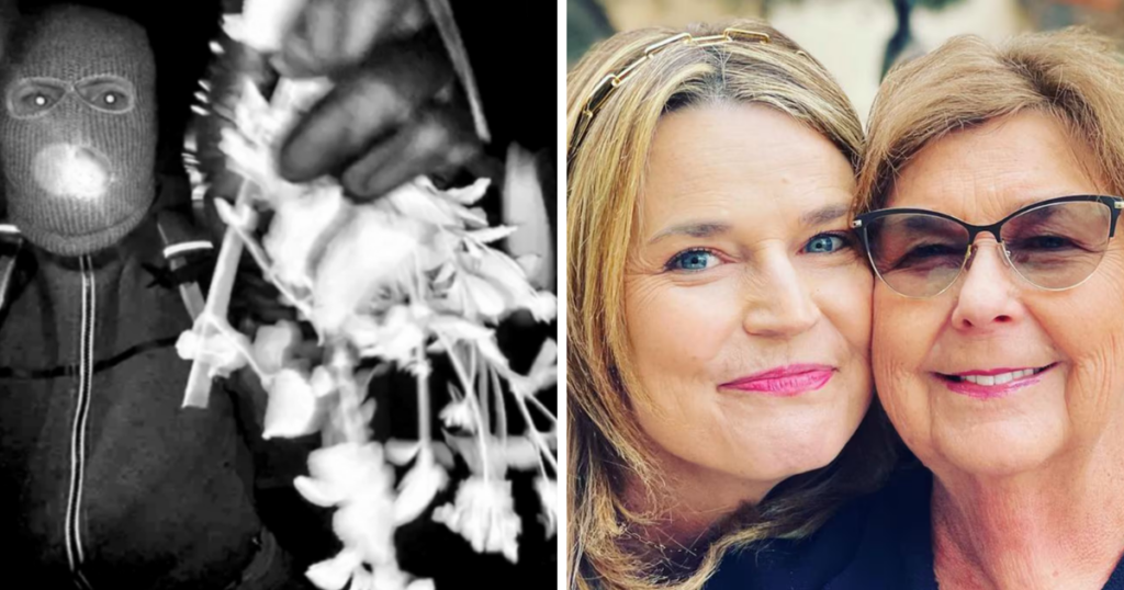 Sheriff statement man detained Nancy Guthrie case