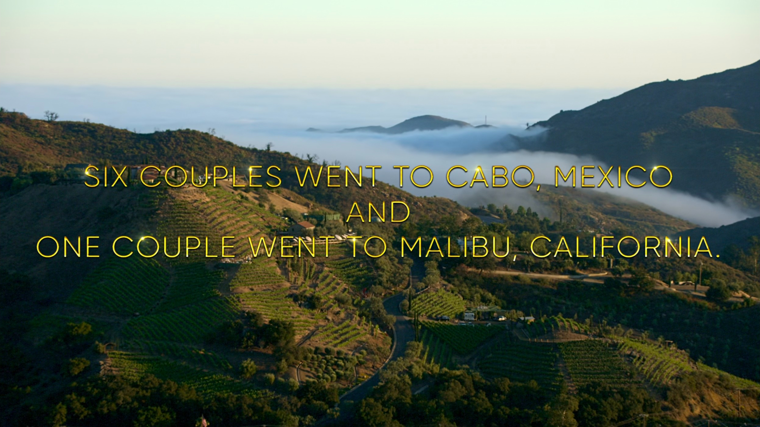 Love Is Blind season 10