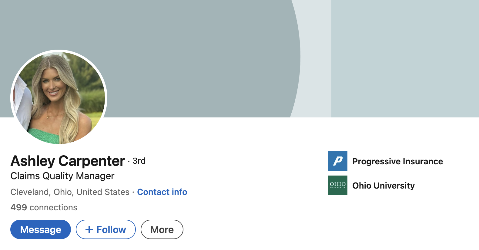 Love Is Blind season 10 cast jobs on LinkedIn