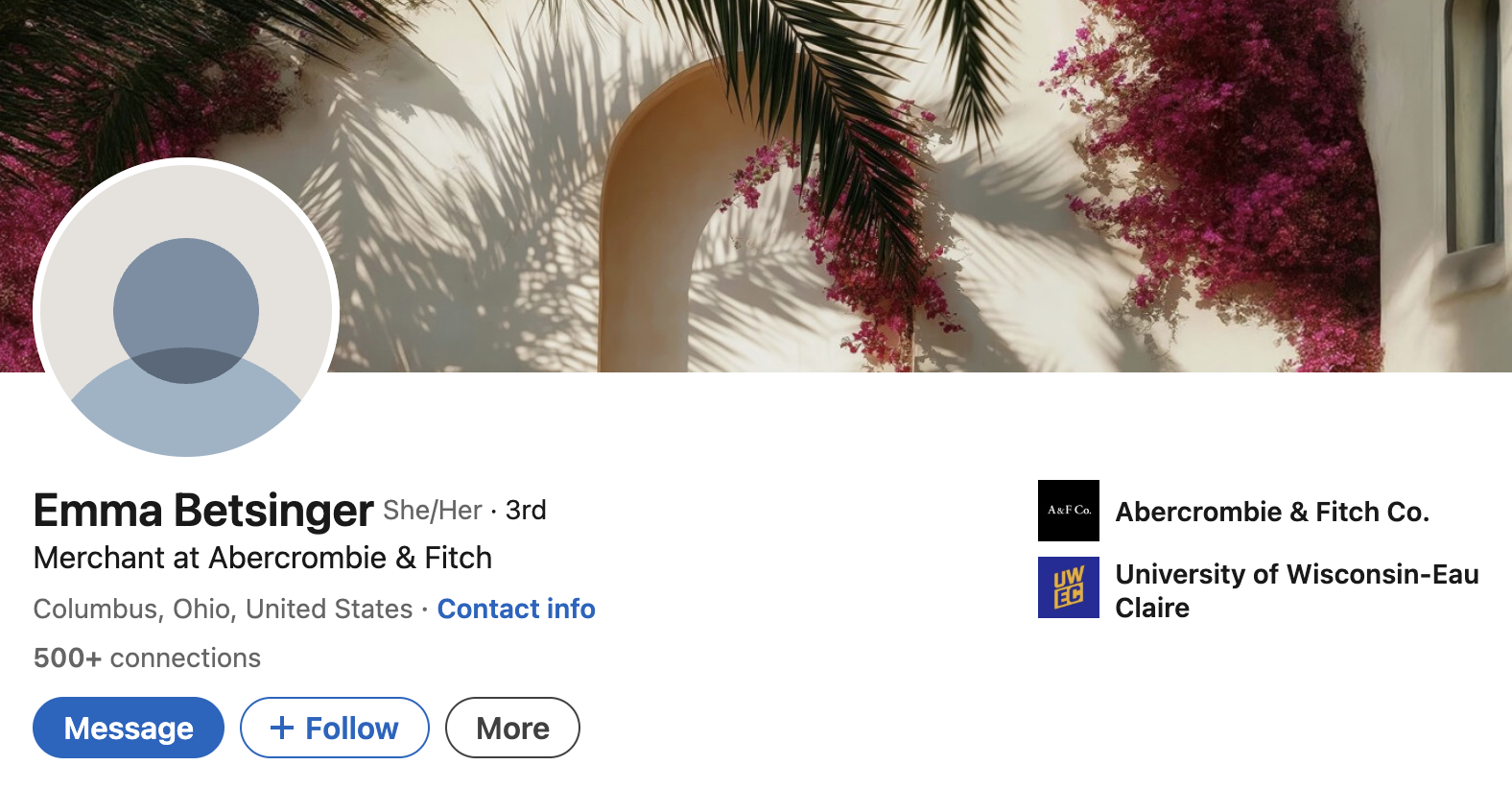 Love Is Blind season 10 cast jobs on LinkedIn