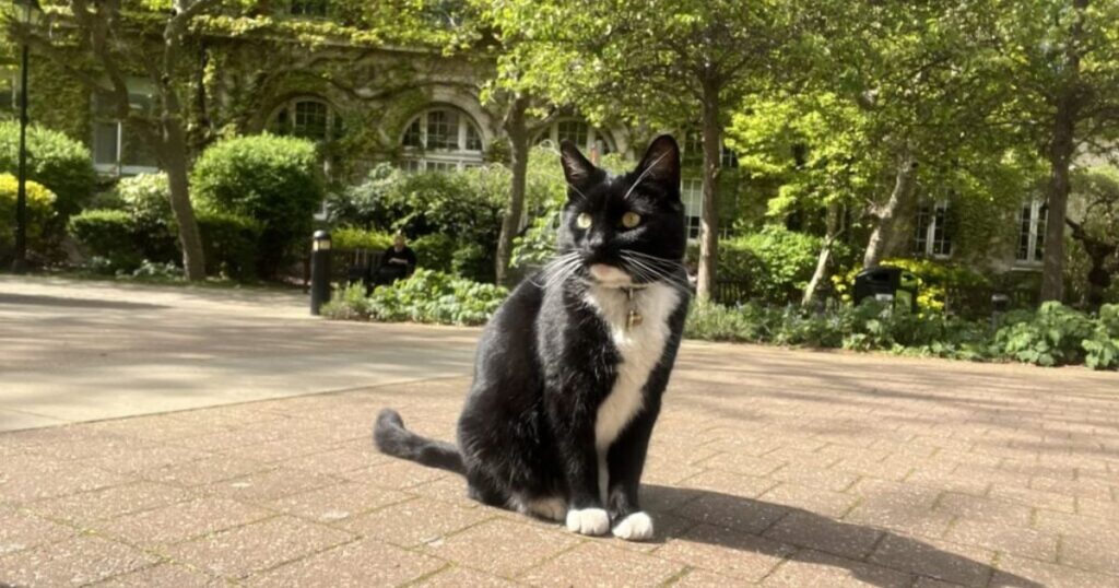 kings' college london kcl hardest universities offer