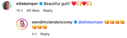 bridesmaids reunion oscars ellie kemper commenting on instagram