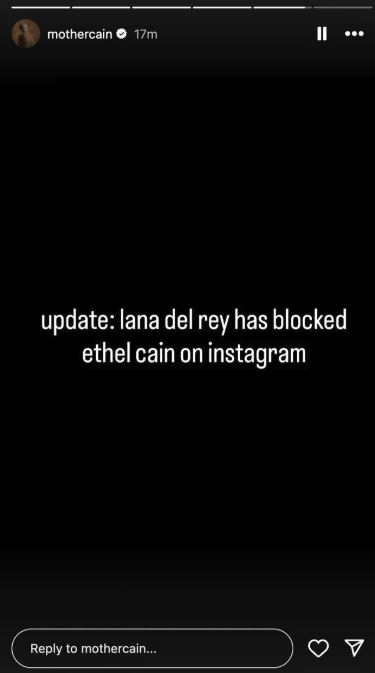 ethel cain lana del rey blocked instagram