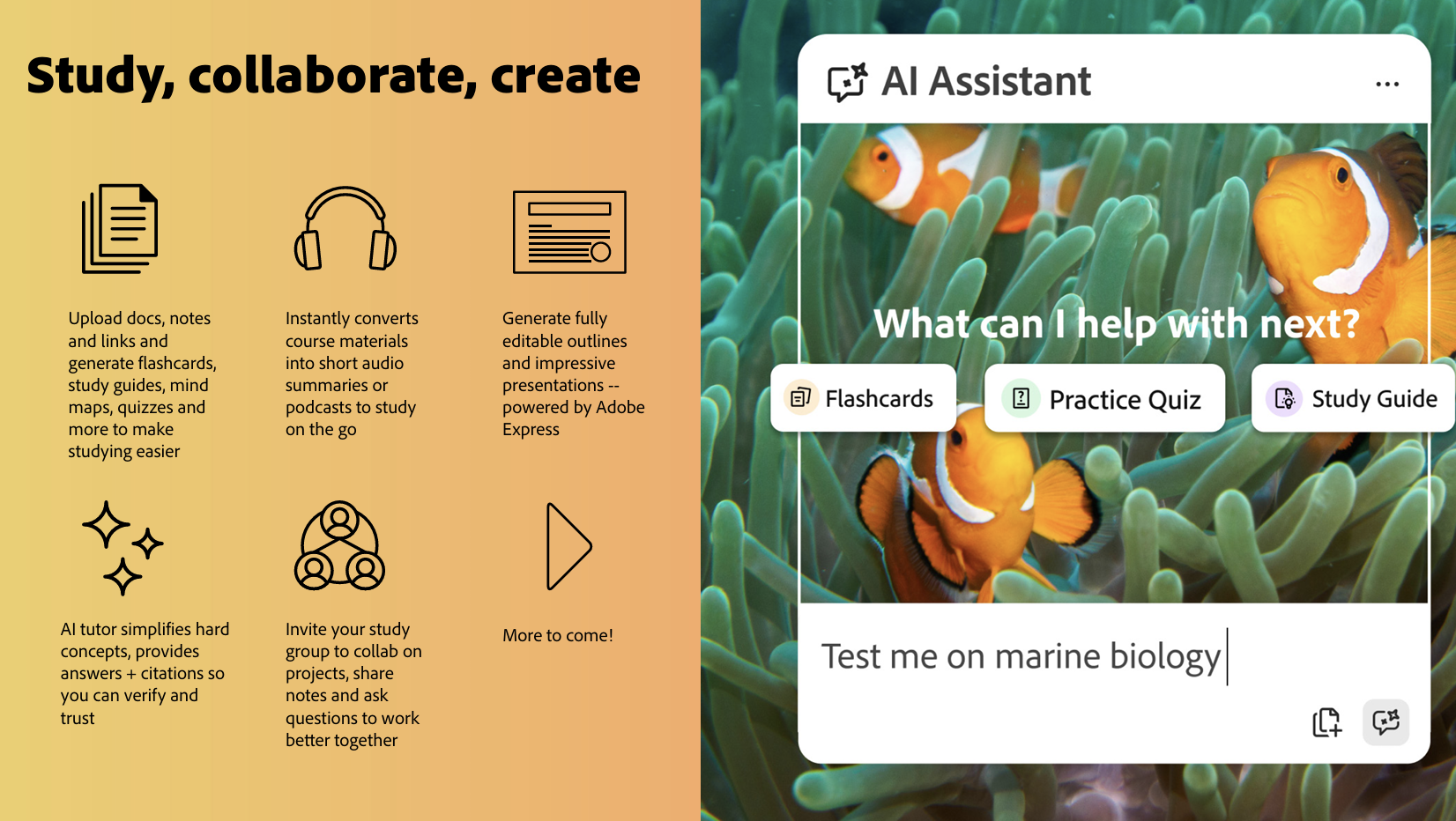 Adobe Acrobat's Student Spaces